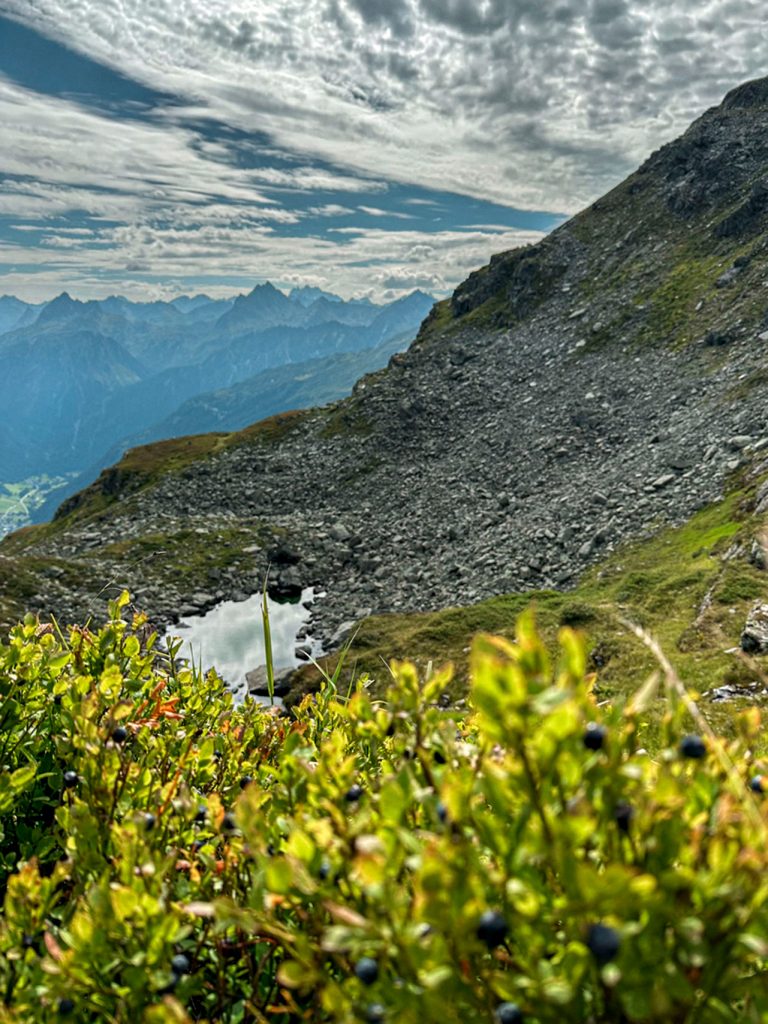 Berge mit Alpenrosen